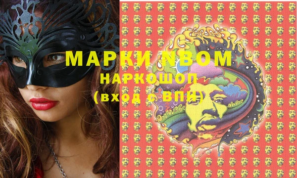 прущие грибы Навашино